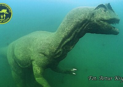 Jezioro Płotki nurkowanie
